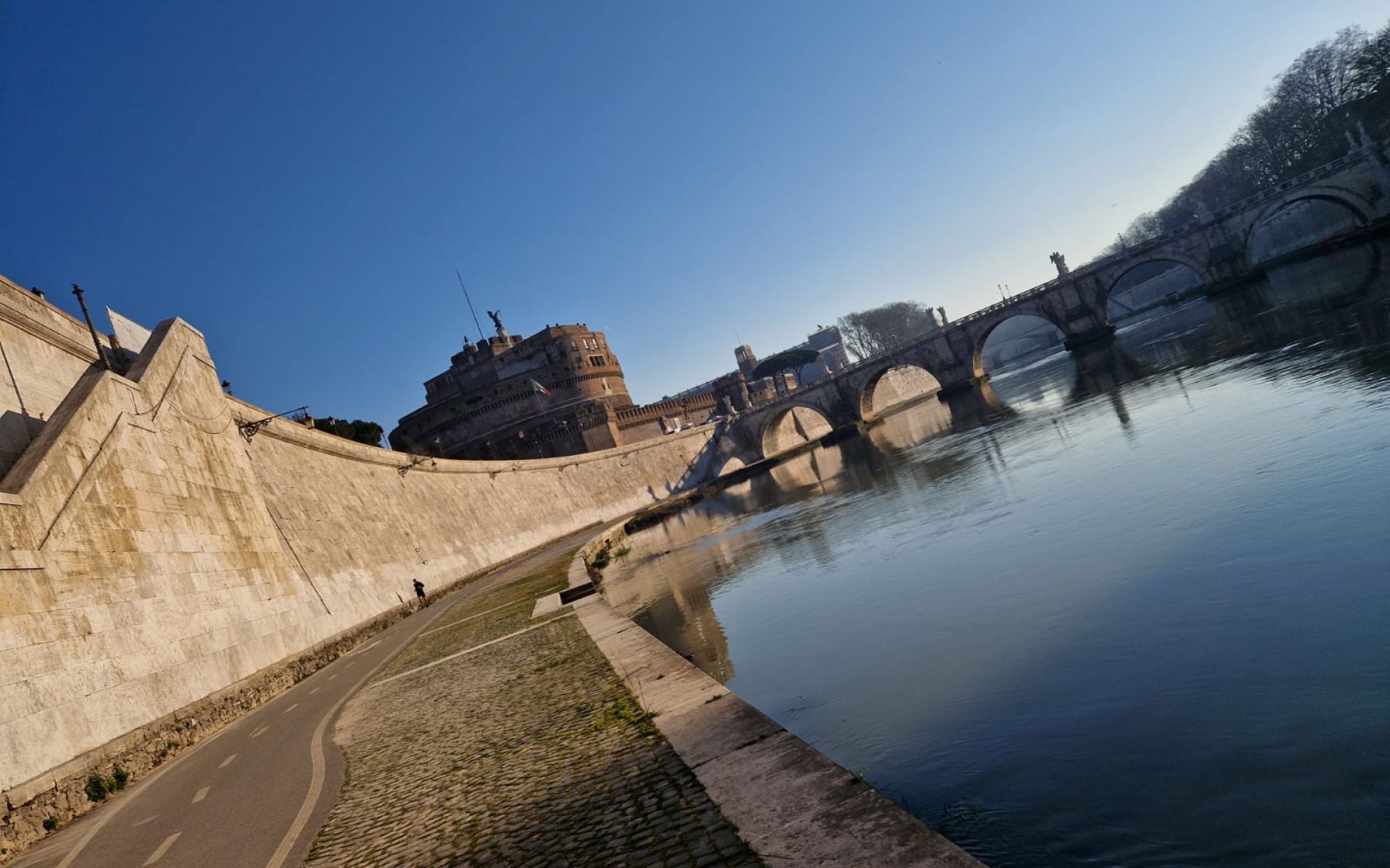 Il dove di Calandrone