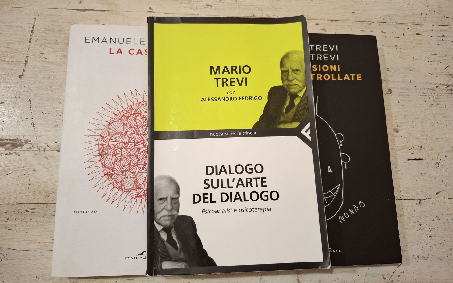 Conversazioni con Mario Trevi