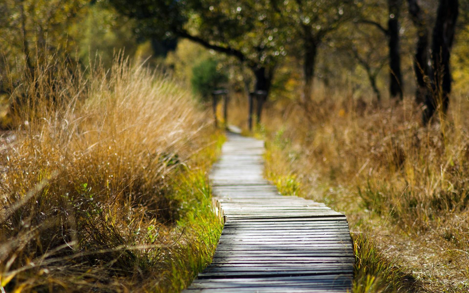 Il camminare di Kagge