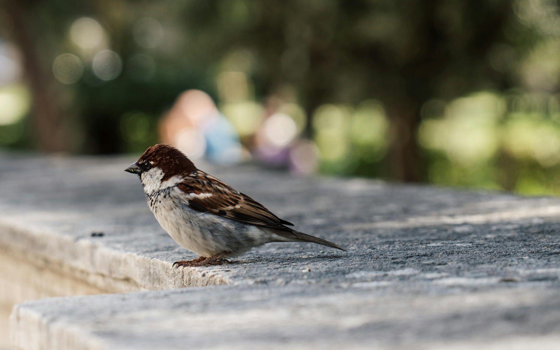 Torre Maura è brutta