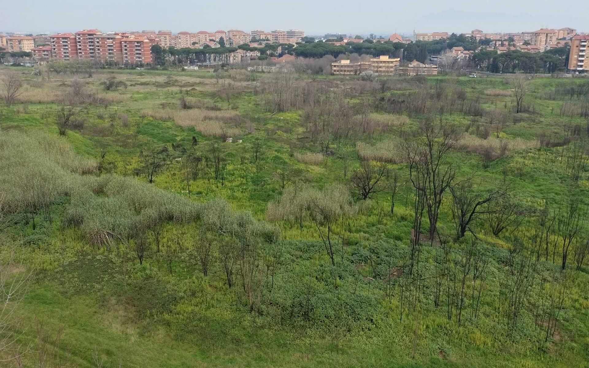 Con Vannozzi sulle Torri 3