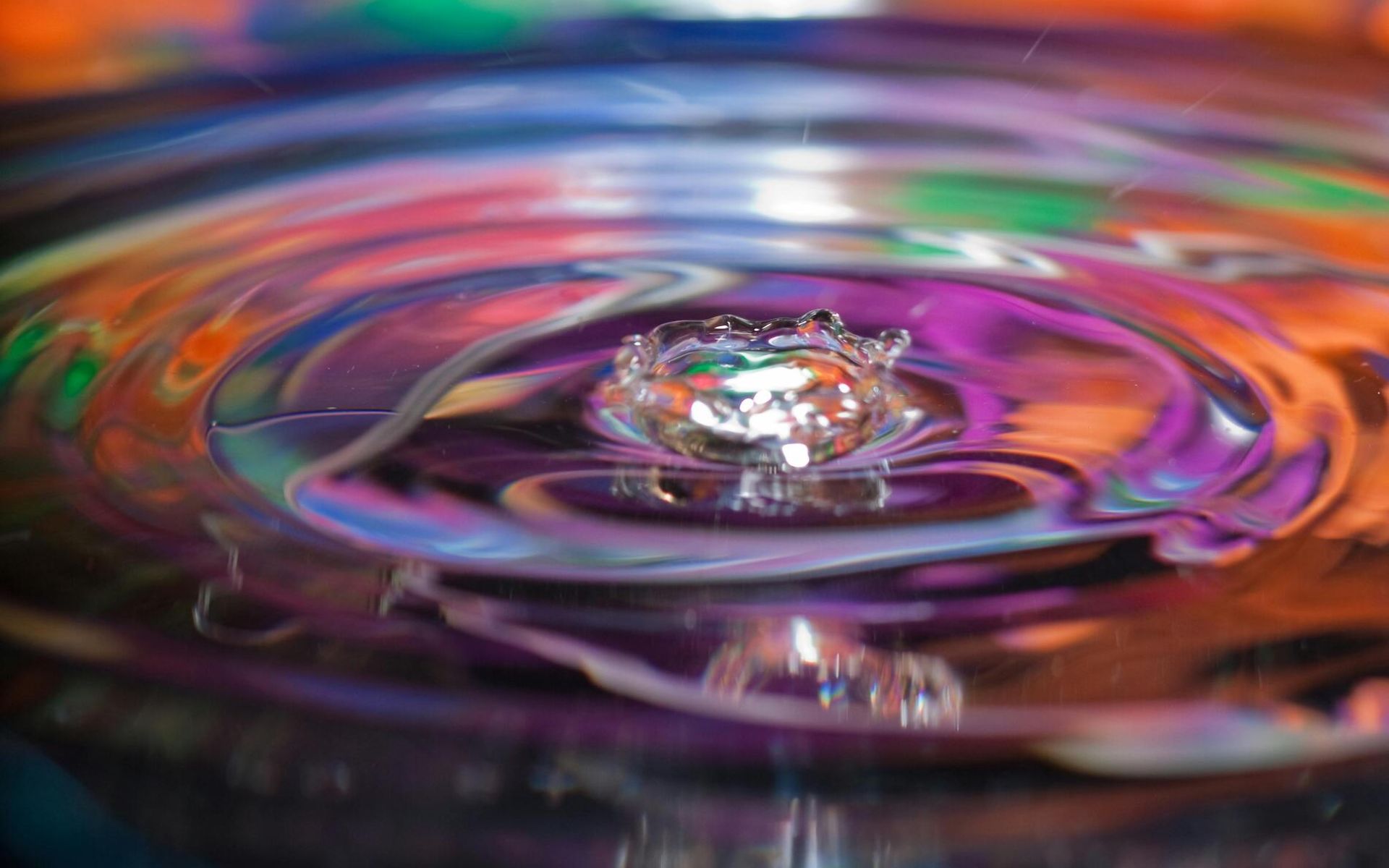 I cerchi di Robecchi